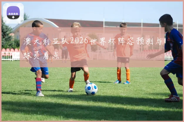 澳大利亚队2026世界杯阵容预测与球员看点