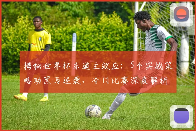 揭秘世界杯东道主效应：5个实战策略助黑马逆袭，冷门比赛深度解析